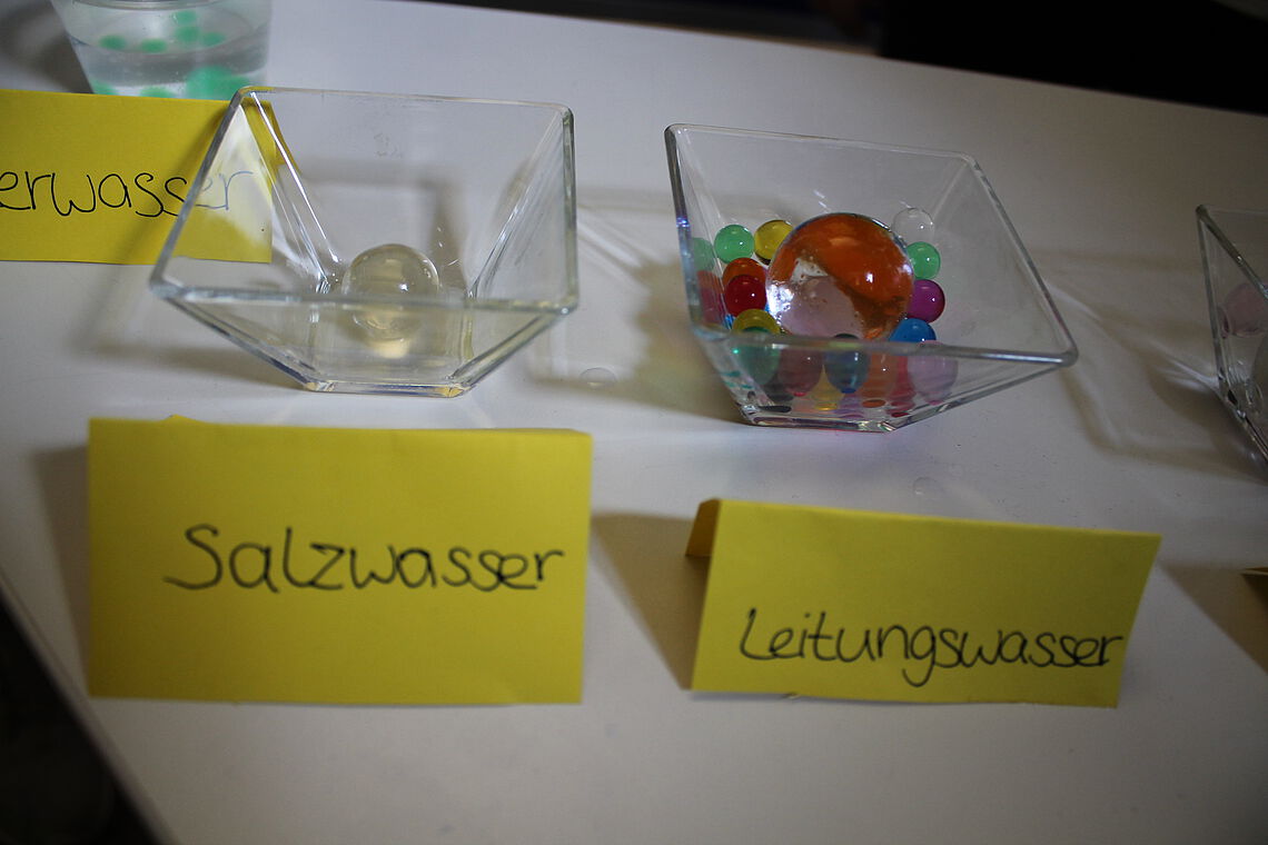Virtual Science Fair