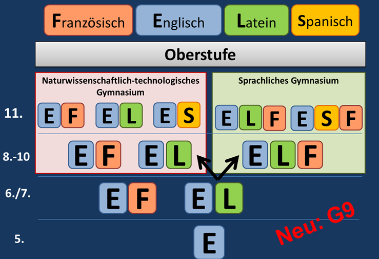 sprachenfolgeg9_neu.png